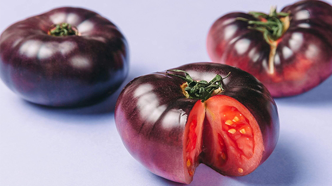 رشد و نگهداری از گوجه چروکی بنفش